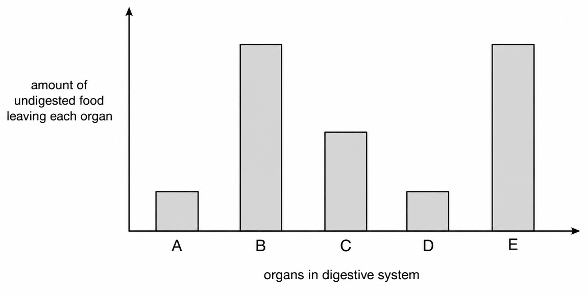 Bar chart showing the amount of undigested food leaving each of five digestive organs labelled A, B, C, D and E after a meal.