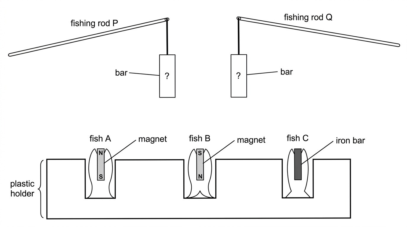 Diagram showing two fishing rods P and Q with bars hanging from them, and three toy fish in a plastic holder: fish A labelled magnet, fish B labelled magnet, and fish C labelled iron bar.